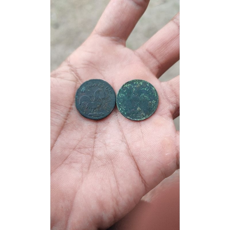 SEPASANG KOIN AYAM JANTAN