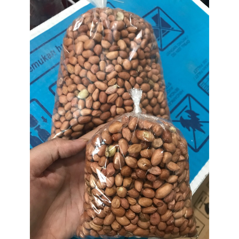 

Kacang Tanah