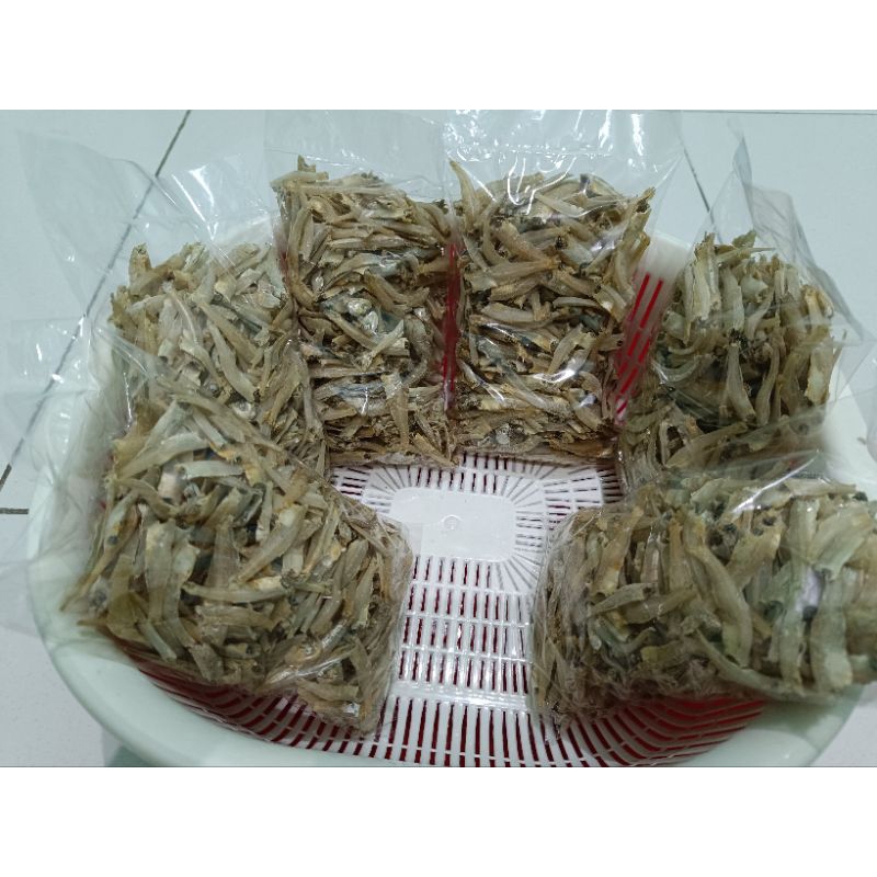 

Ikan Teri