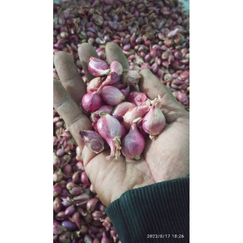 

Bawang merah 250g