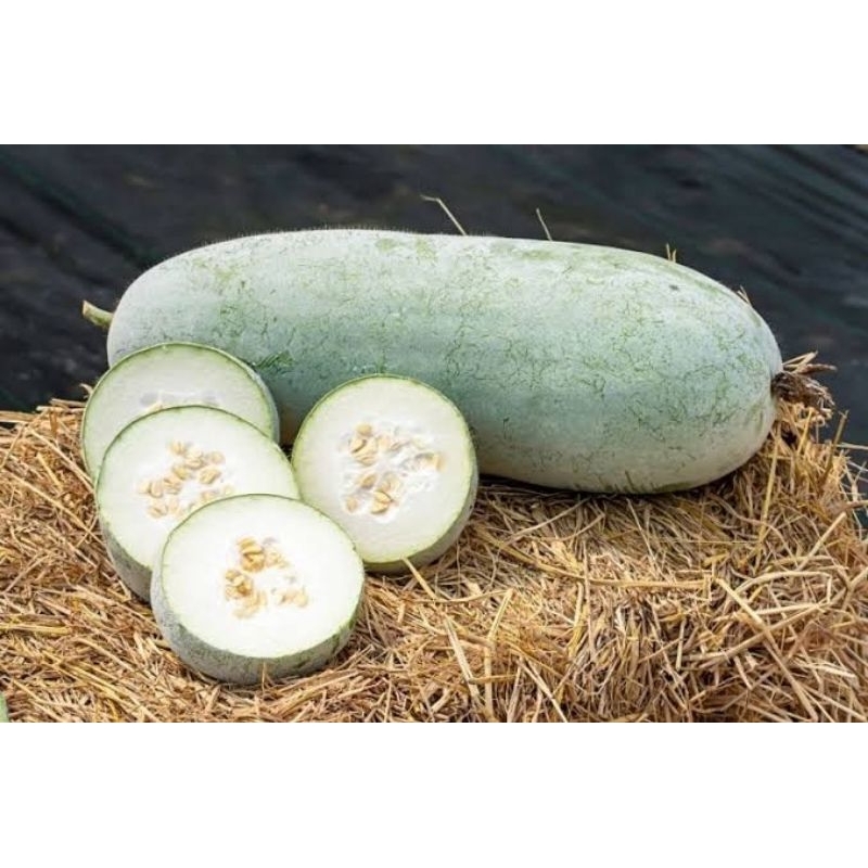 

Labu kundur / winter melon 1 buah