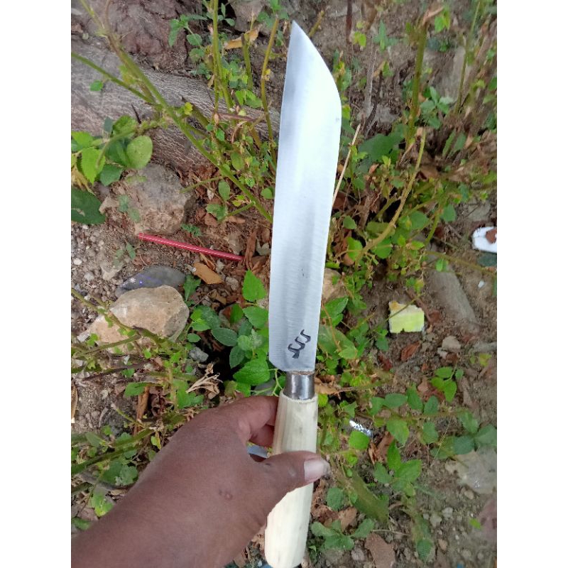 pisau dapur sembelih ayam