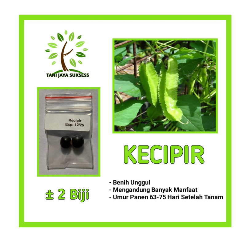 2 Benih Kecipir Benih Kecipir Unggul Berkualitas Bibit Kecipir
