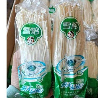 

jamur enoki uk 100gr