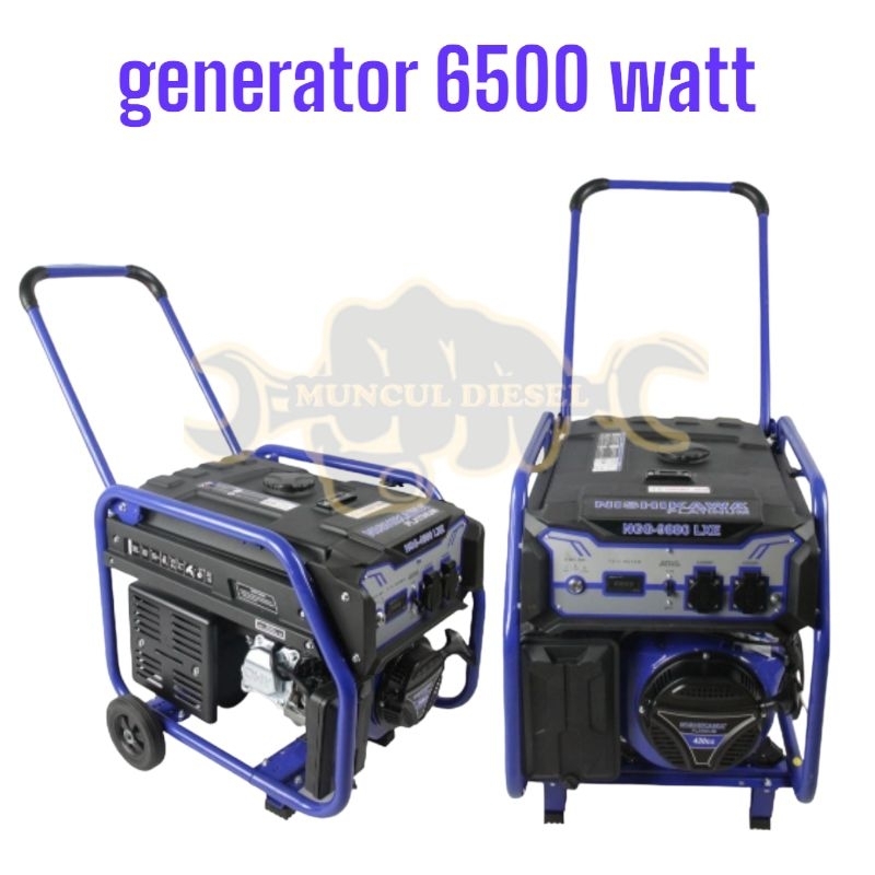 GENSET 5000WATT BENSIN NISHIKAWA NGG 8880 LXE STATEE