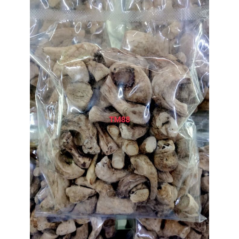 

KAKI JAMUR SHITAKE/KAKI JAMUR HIONGKU