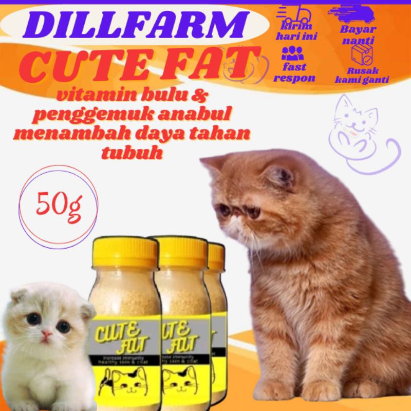 vitamin kulit dan bulu kucing penggemuk kucing CUTE FAT DILLFARM