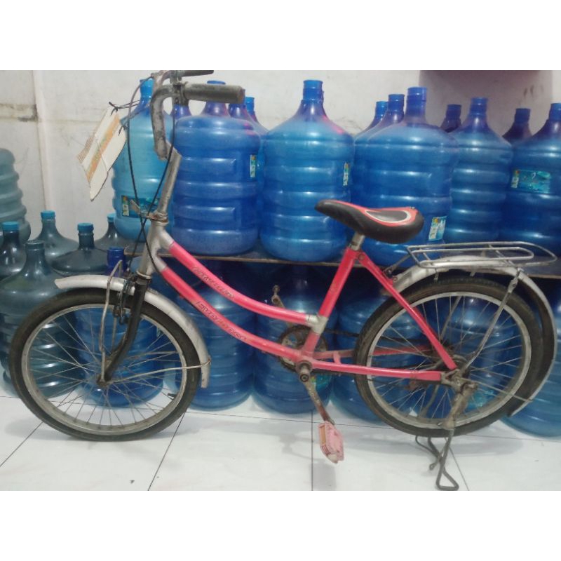 Sepeda anak gadis 20" / sepeda anak (khusus Medan)