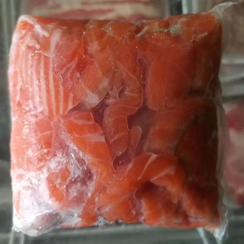 

frozen salmon kiriotoshi tetelan tanpa lemak kulit tulang