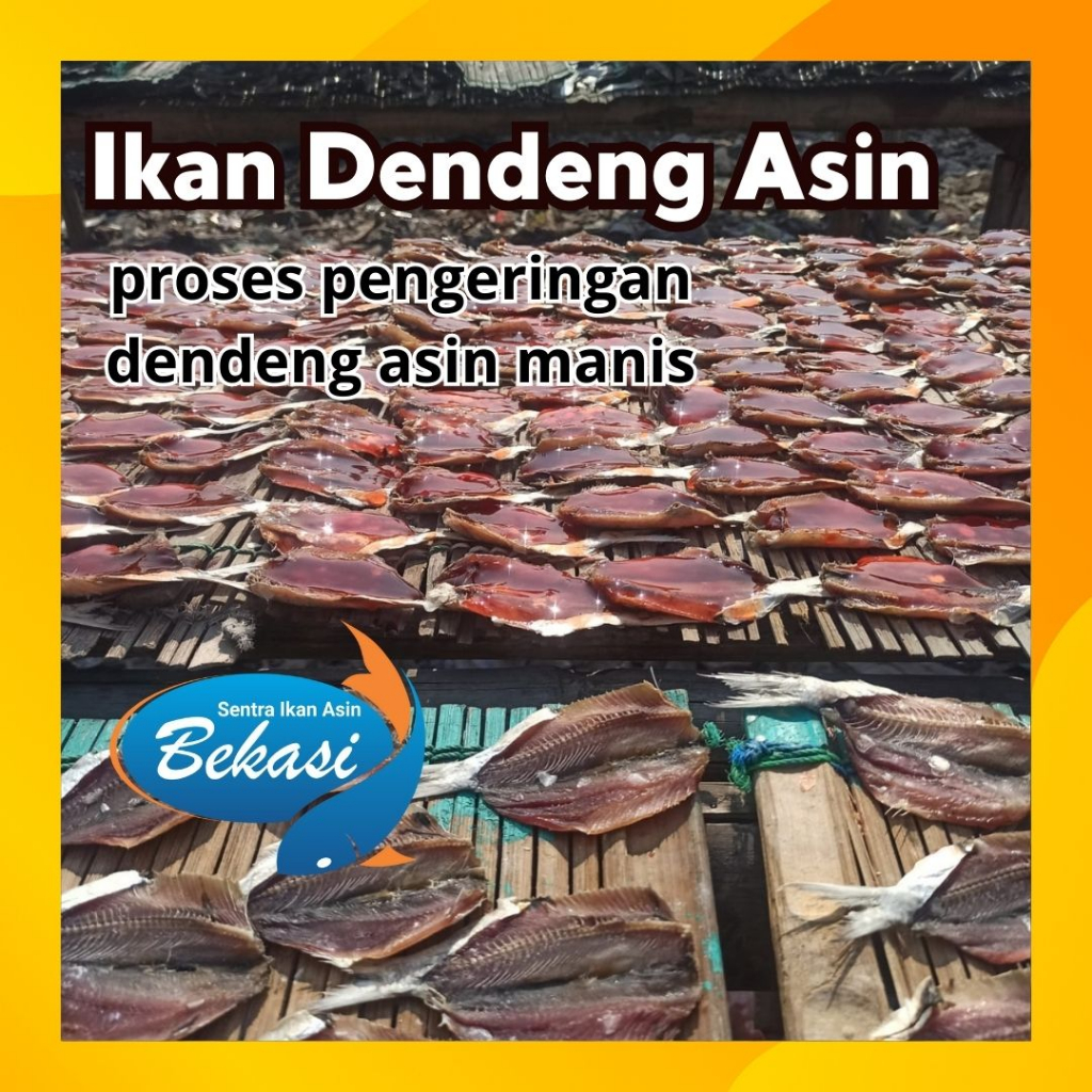 

Ikan Asin Dendeng Tembang 500 gram