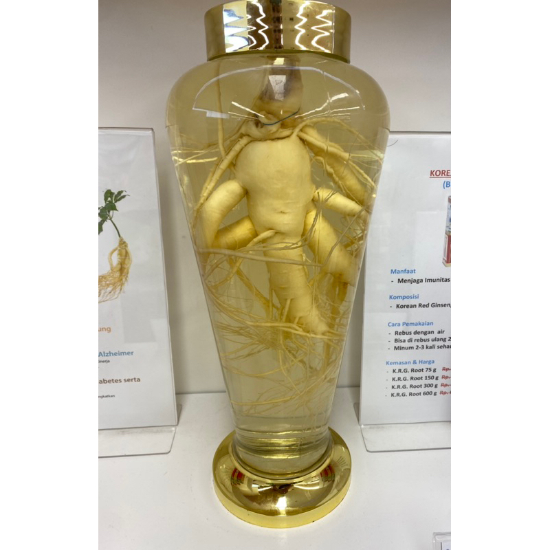 

Korean Red Ginseng Root Fresh original botol premium 600gr