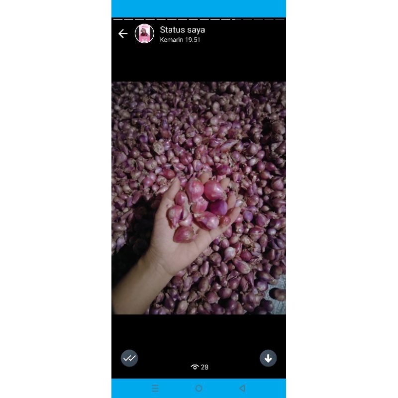 

BAWANG MERAH LOKAL1Kg