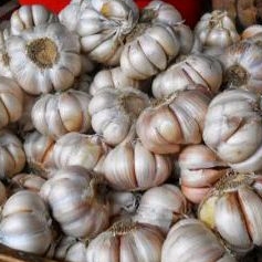 

bawang putih 500 gr