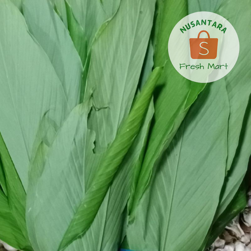 

Daun Kunyit Segar 1 kg