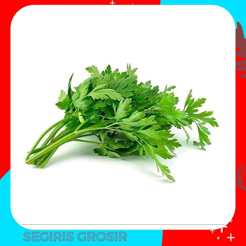 

Daun sop daun seledri segar 1 ikat