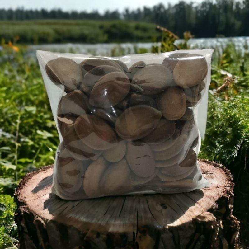 

Biji Sengon Super Premium " ( SOLOBIUM FARIKA / PARIKA )