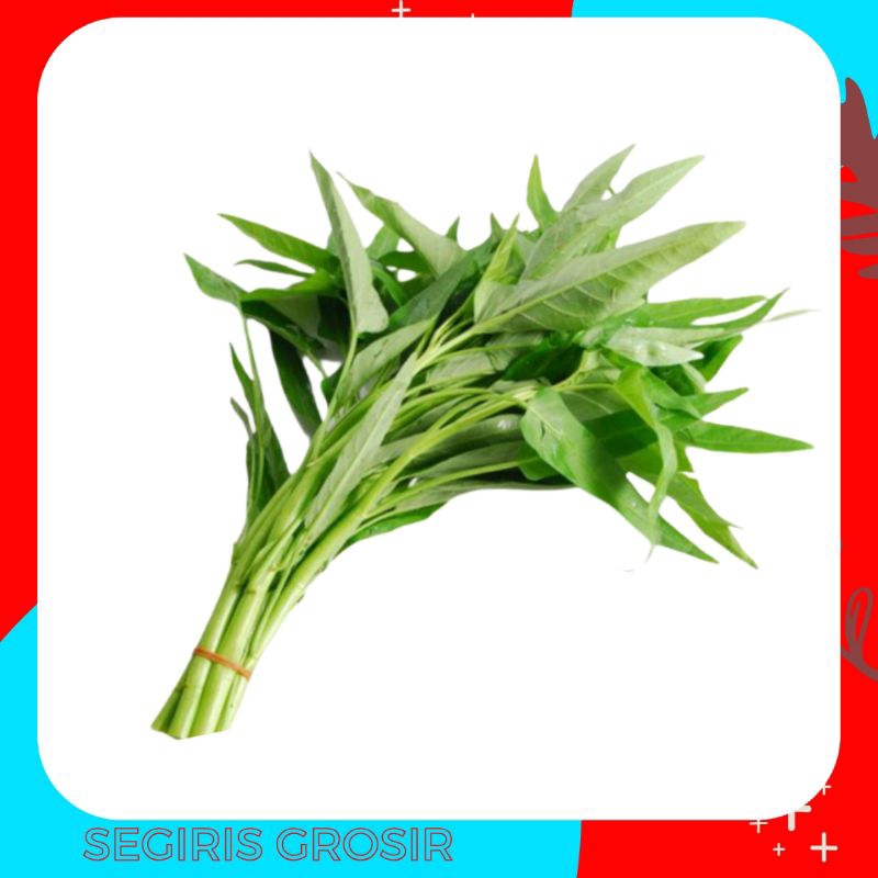 

sayur kangkung segar 1 ikat