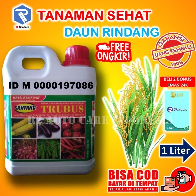 Pupuk cair tanaman tumbuhan aquacape perangsang growmore bunga bibit aglonema daun buah hias padi