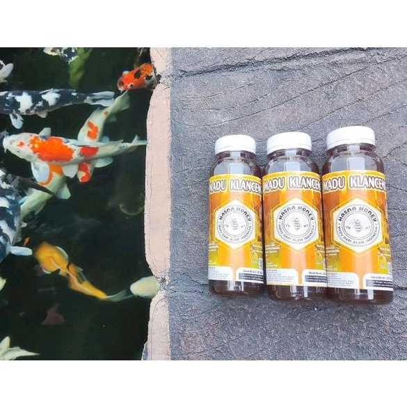 

Madu Klanceng Murni Trigona Honey Kelulut