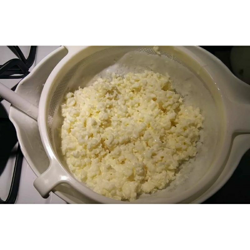 

kefir grain 50 gram