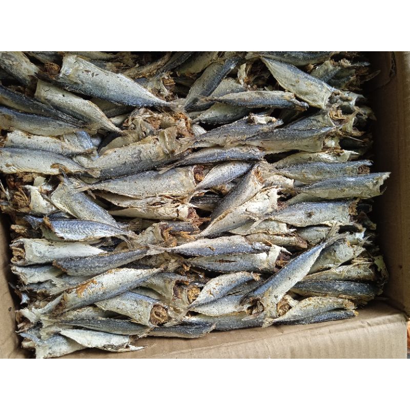 IKAN ASIN REBUS  KEMBUNG LAMPUNG#ikan rebus PK