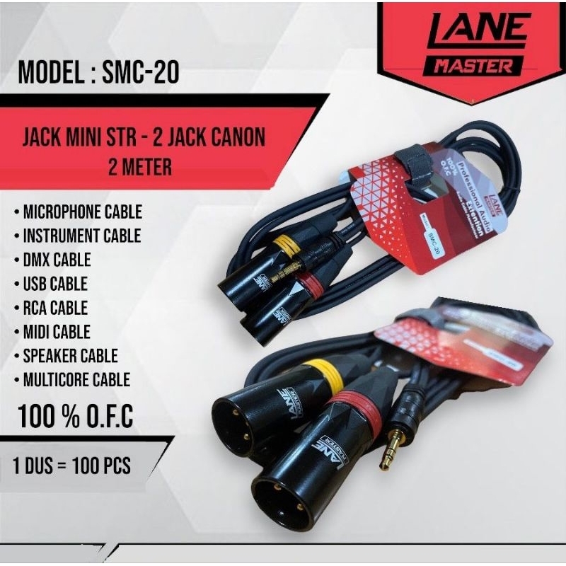 Jack hp mini stereo to canon