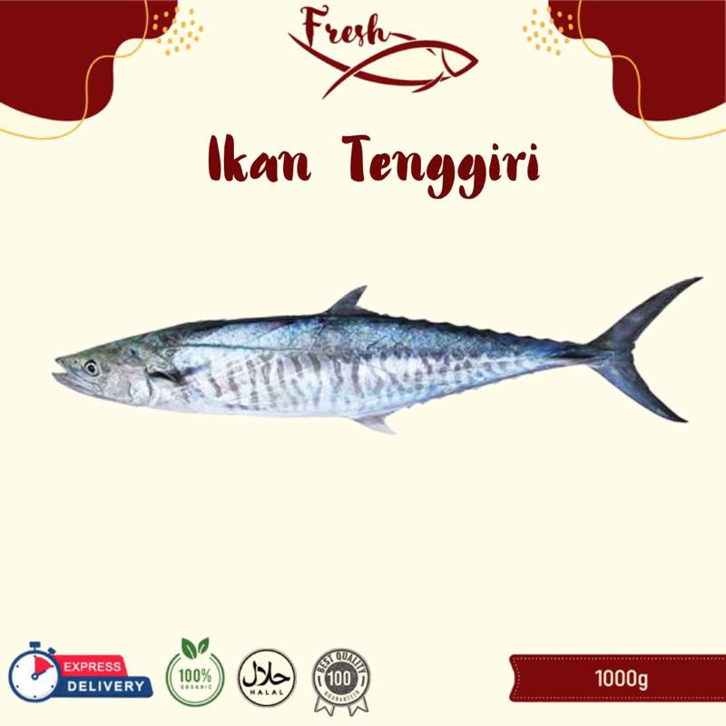 

IKAN TENGGIRI PAPAN FRESH 1kg