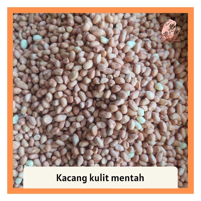 

Kacang kulit mentah