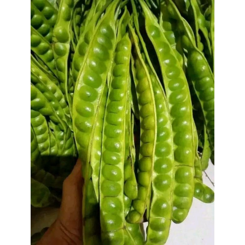 

Pete segar super | A