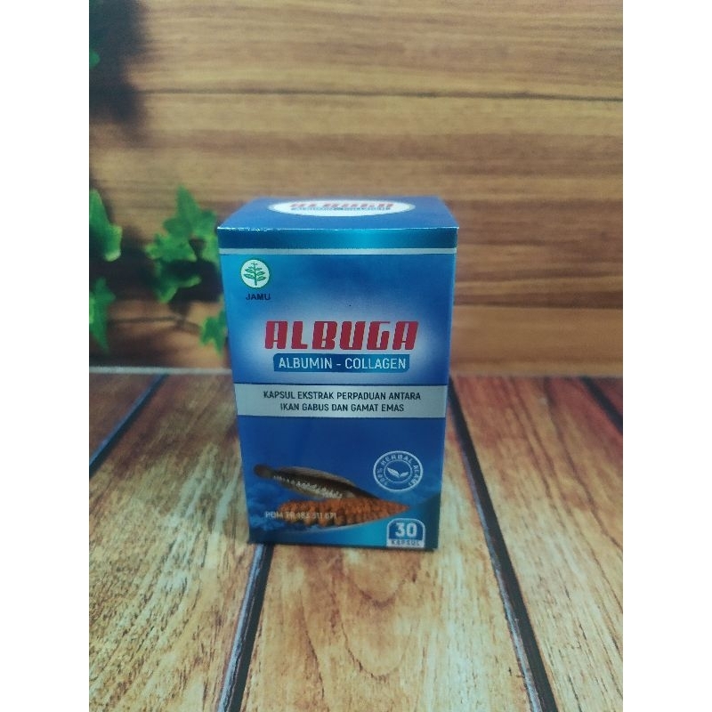 

ALBUGA Kapsul Albumin-Collagen/Minyak Ikan Gabus Plus Gamat Emas
