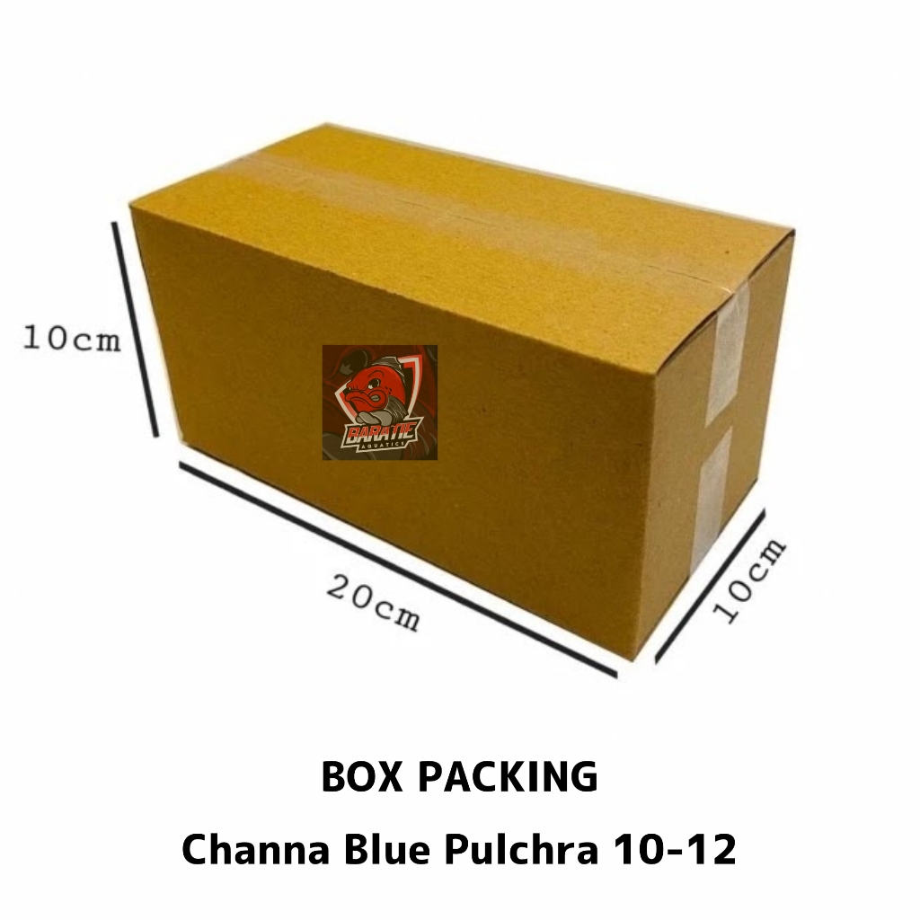 

BOX PACKING PULCHRA 10-12 CM