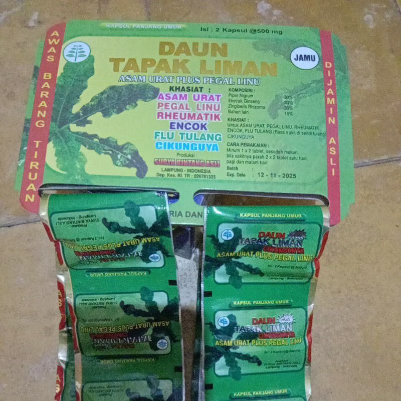 

Daun Tapak Liman asam urat dan pegal linu