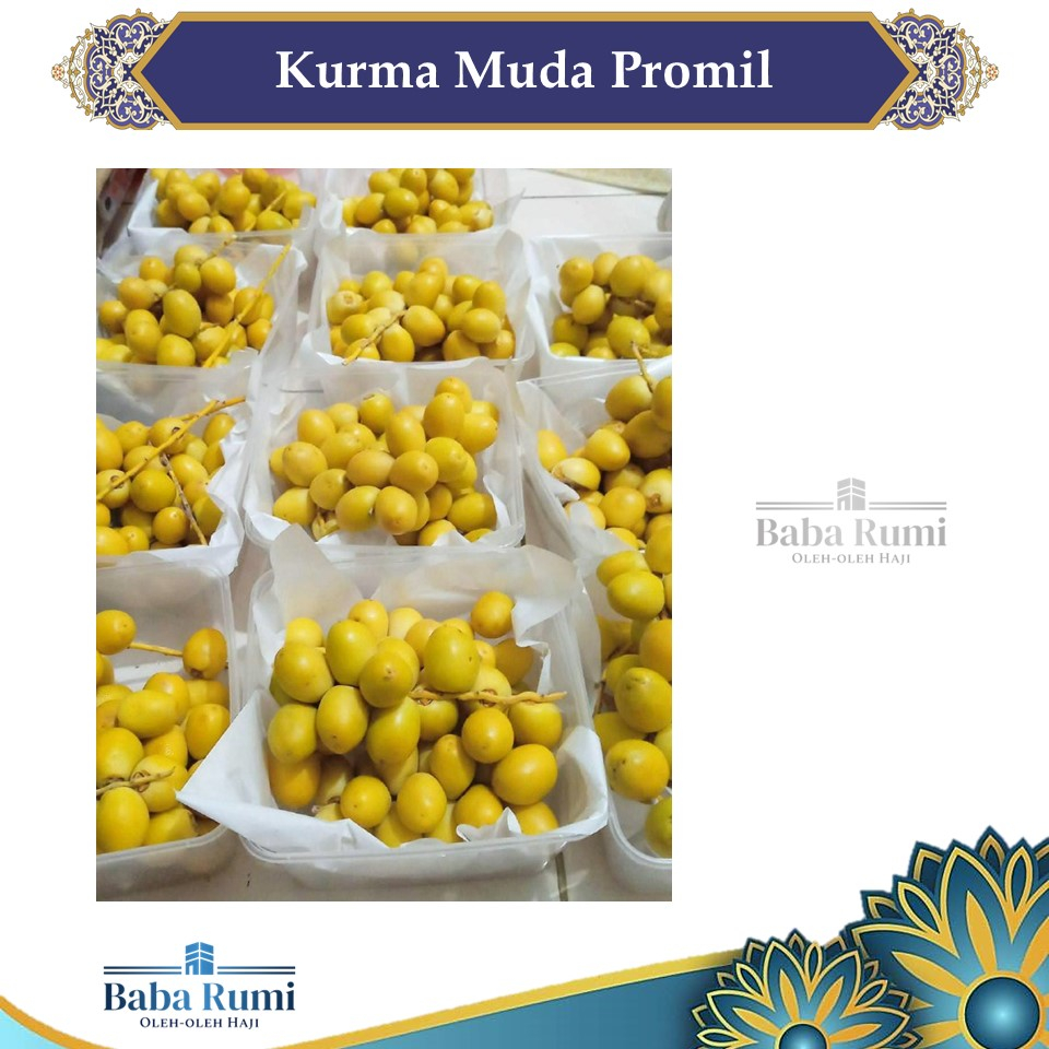 

Kurma Muda Promil FREE TESTPACK Ready Insya Allah 27-29Septembet 2023 Barhee kuning Manis