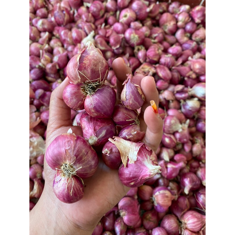 

Bawang Merah 1kg BESAR