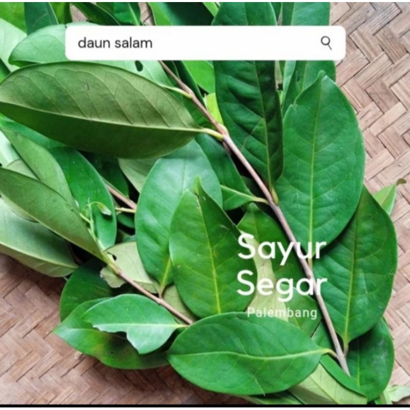 

Daun Salam per ikat sayur segar palembang