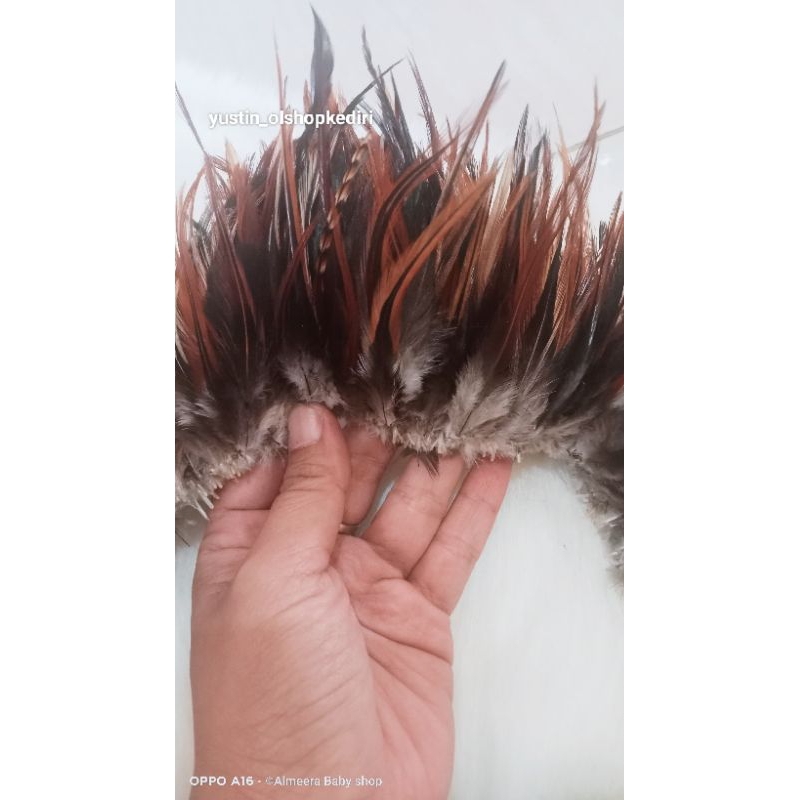 Bulu rawis premium/ Bulu ayam premium/ bulu ayam meteran/ Harga per meter