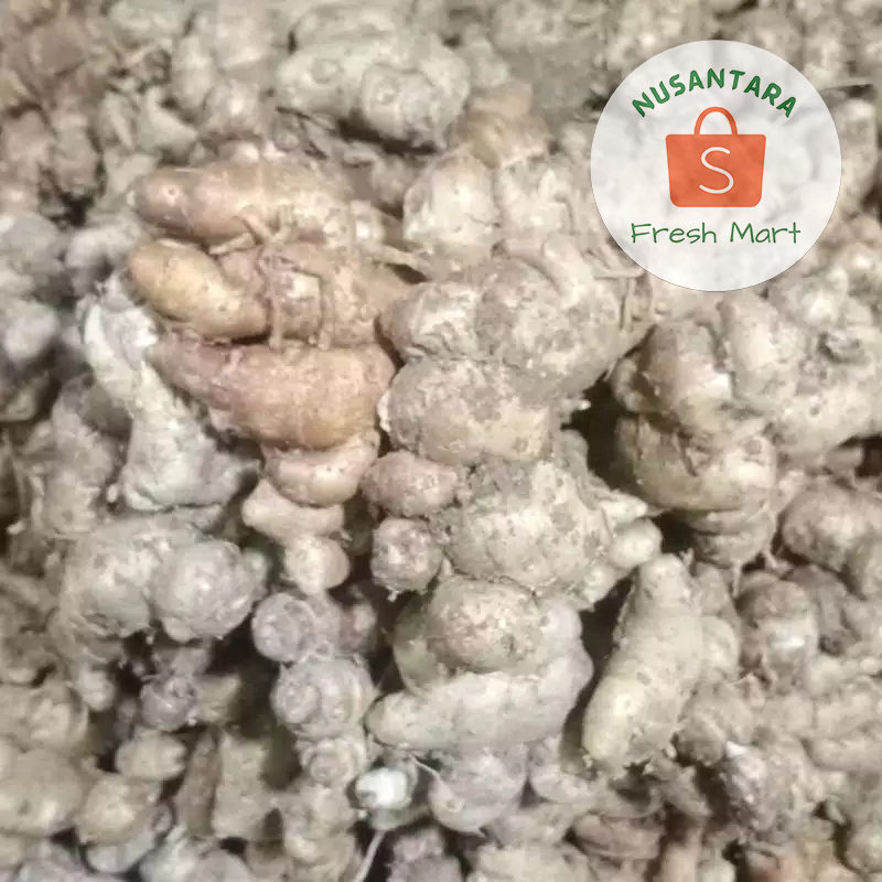 

Kencur Super Segar 100 gram