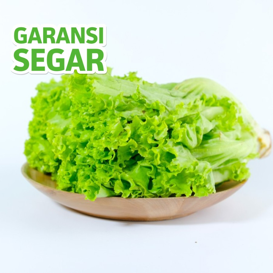 

Selada Keriting 250 Gram