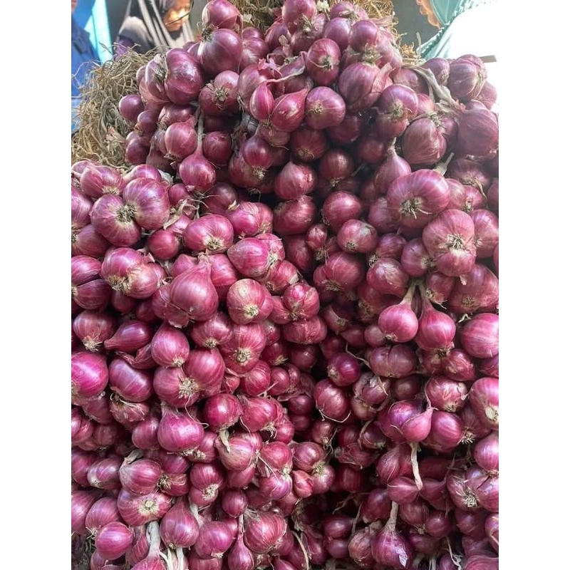

BAWANG MERAH 1KG SUPER BAGUSS&KERING