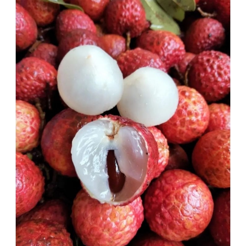 

Leci Merah Madu 1 Kg | Red Lhycee 1 Kg
