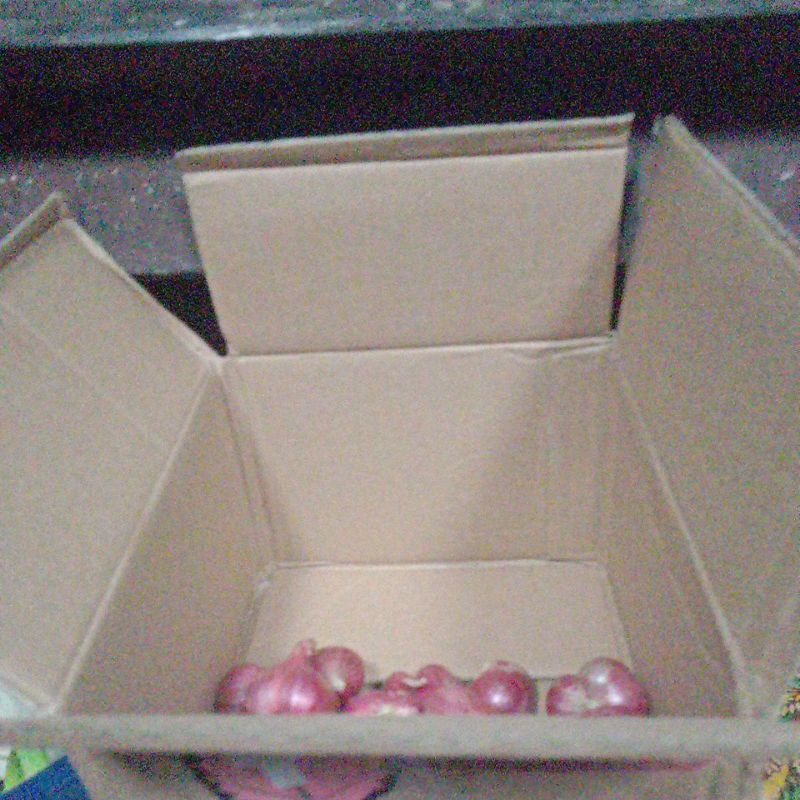 

kardus paket brambang