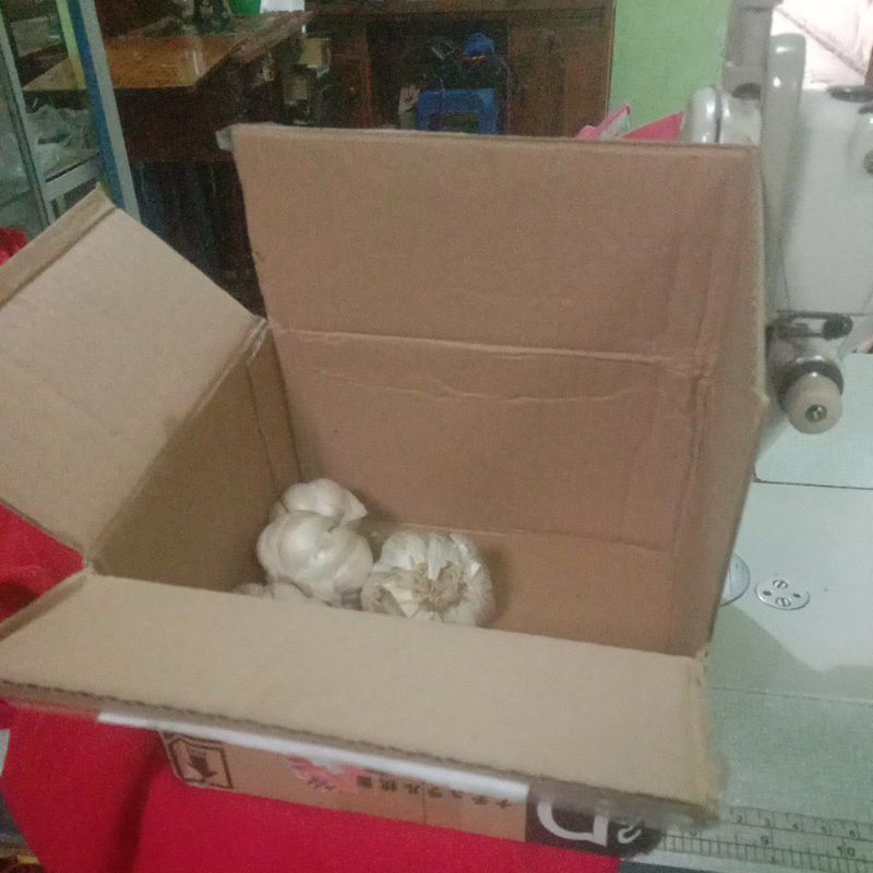 

kardus paket bawang