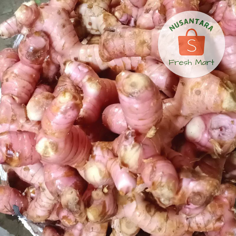 

Lengkuas Muda Merah Segar 500 gram