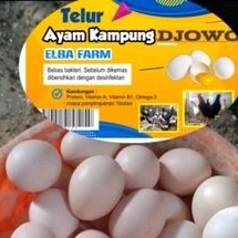 

telur ayam kampung