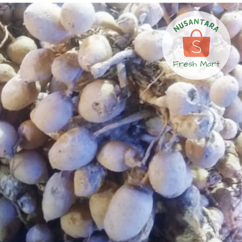 

Kunyit Putih 250 gram