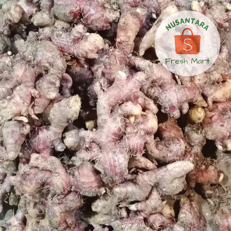 

Jahe Merah Segar 250 gram / Jahai Wedang
