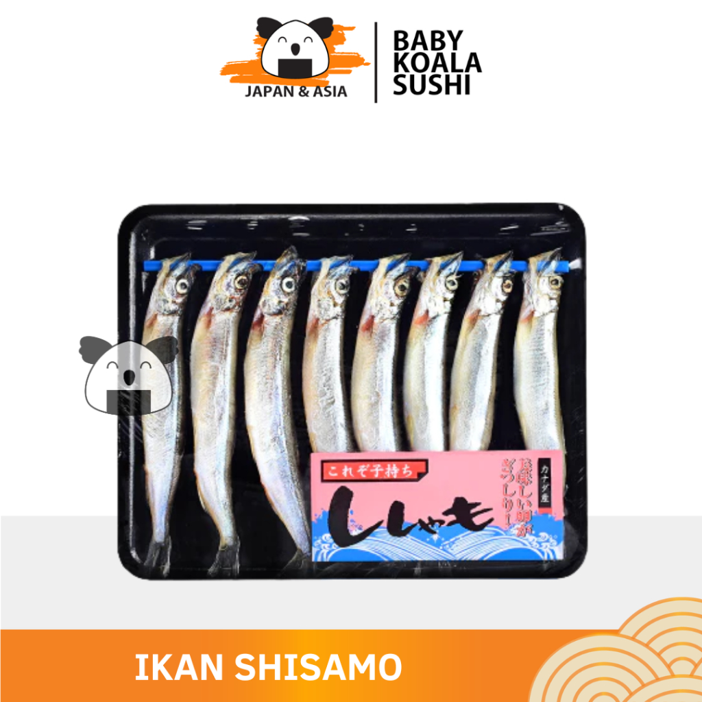

Ikan Shisamo Fish | Capelin Fish Premium Import Frozen | Full Telur