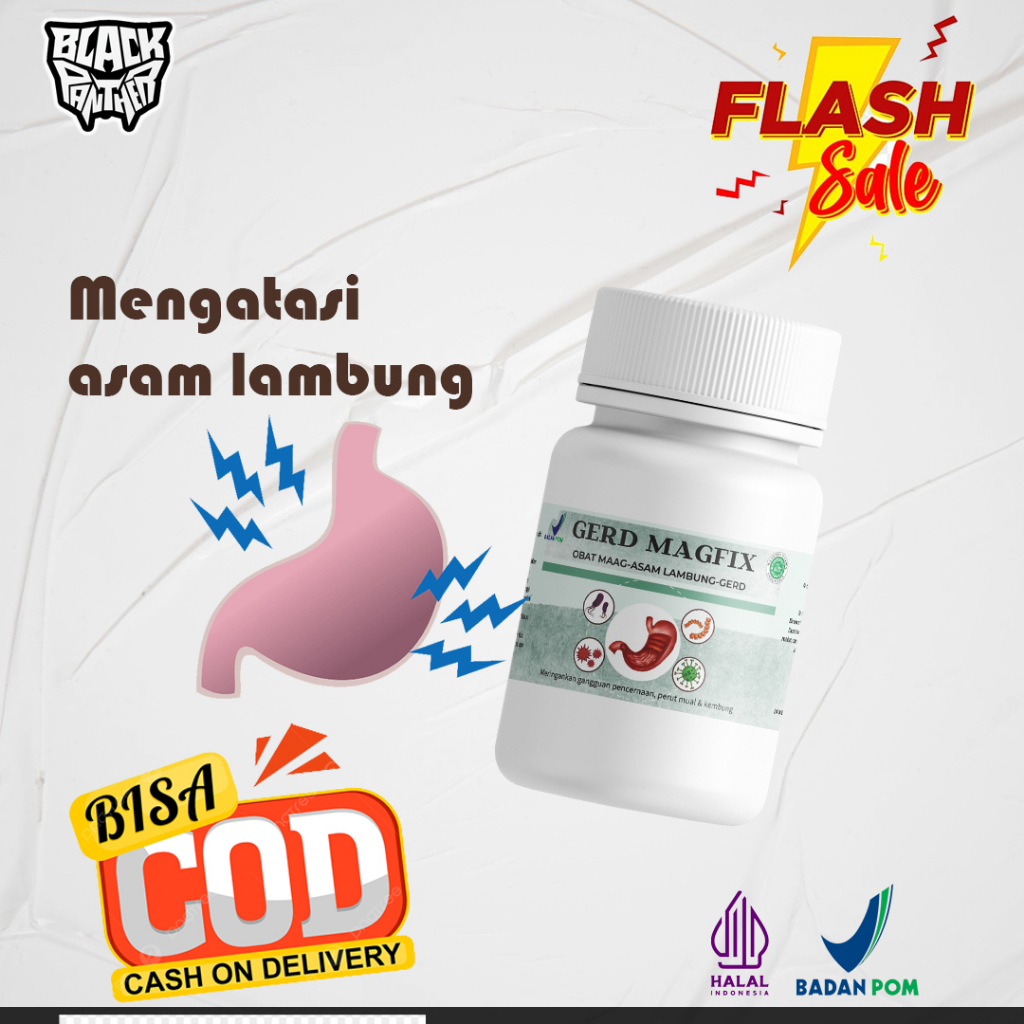 Obat Maag Kronis Cangkang kepiting Fitofarmaka Obat Asam Lambung Gerd Magfix Atasi Infeksi Lambung P