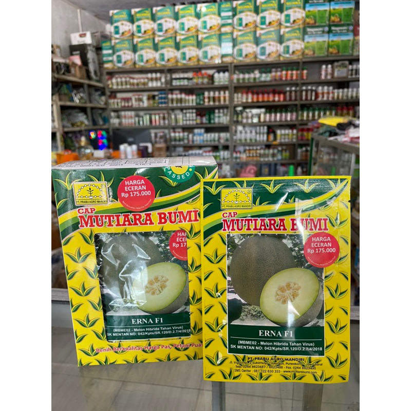 Benih Melon Hibrida ERNA F1 Isi 800 Butir Cap Mutiara Bumi
