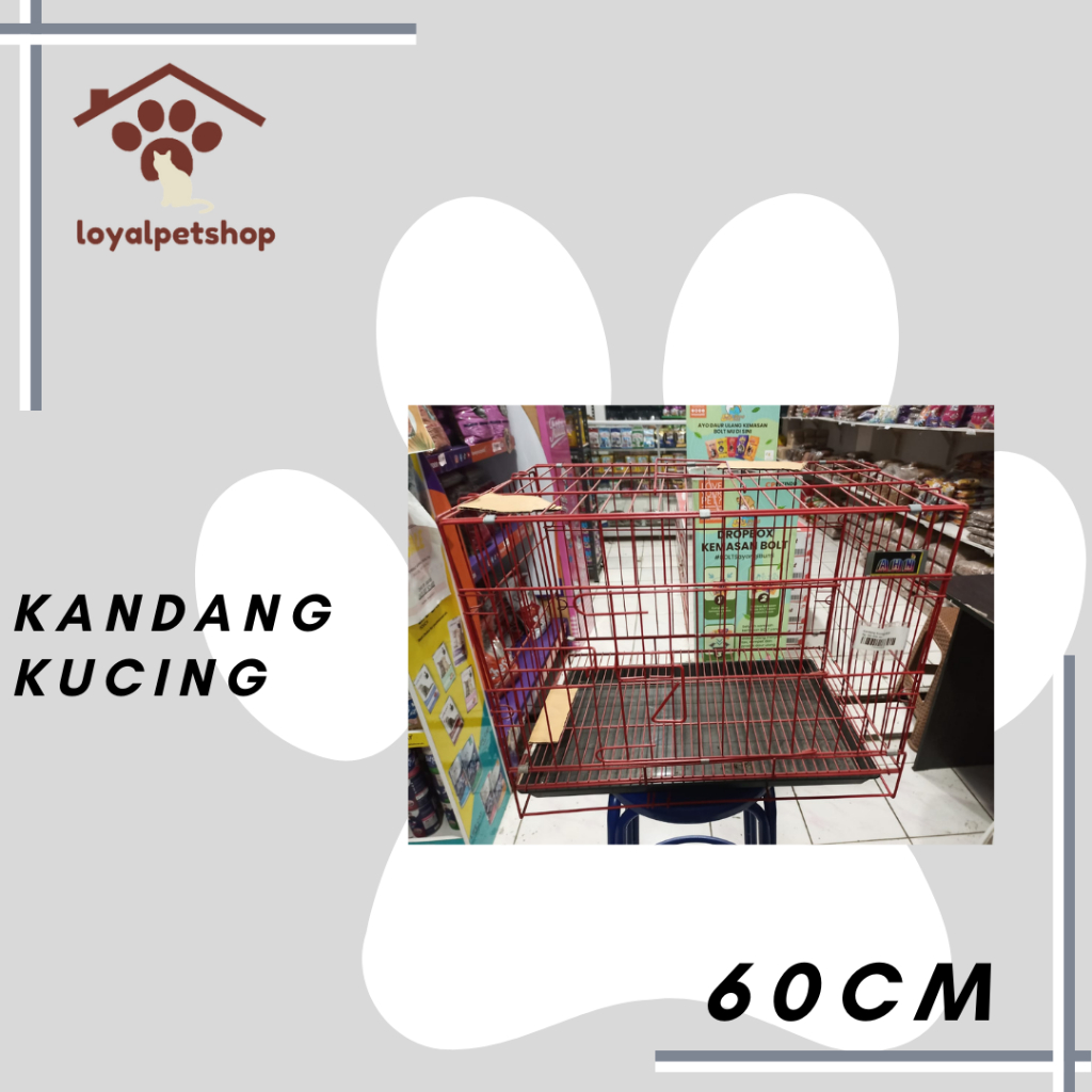 Kandang Kucing - Kandang AHN 60CM